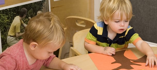 curriculum toddlers