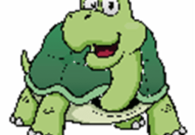 turtle