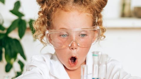 School and preschool education of children.