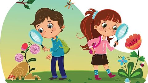 What you should know about your three year old